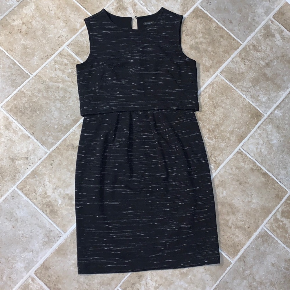 Ann Taylor Dress